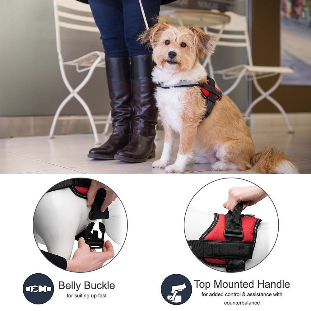 No-Pull Dog Harness, Adjustable Harness for Dogs