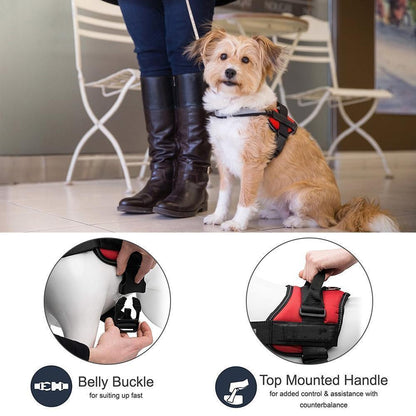 No-Pull Dog Harness, Adjustable Harness for Dogs