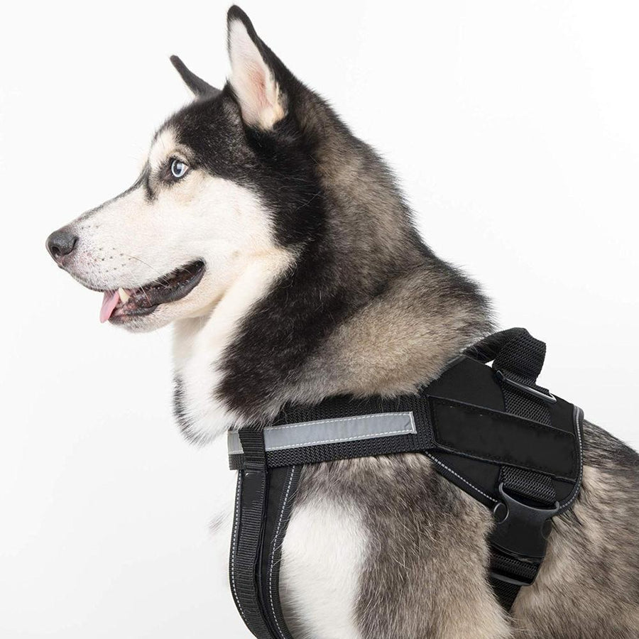 No-Pull Dog Harness, Adjustable Harness for Dogs