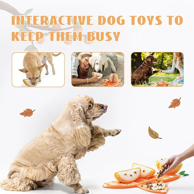 Orange Hide-and-Seek Plush Dog Toy