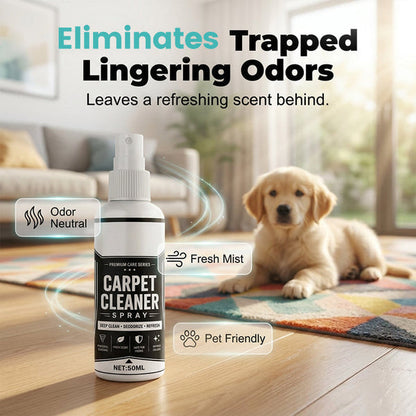 Deep clean carpet spray – lifts tough stains, neutralizes odors instantly!(Free sponge)