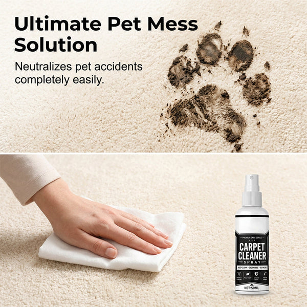 Deep clean carpet spray – lifts tough stains, neutralizes odors instantly!(Free sponge)